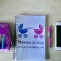 Mamme in blog